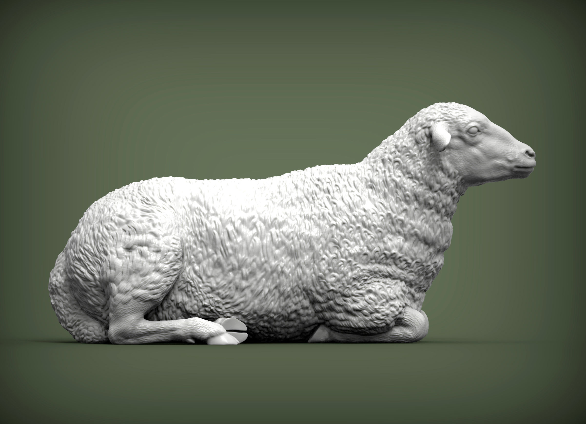 Sheep lies 3D print model_1