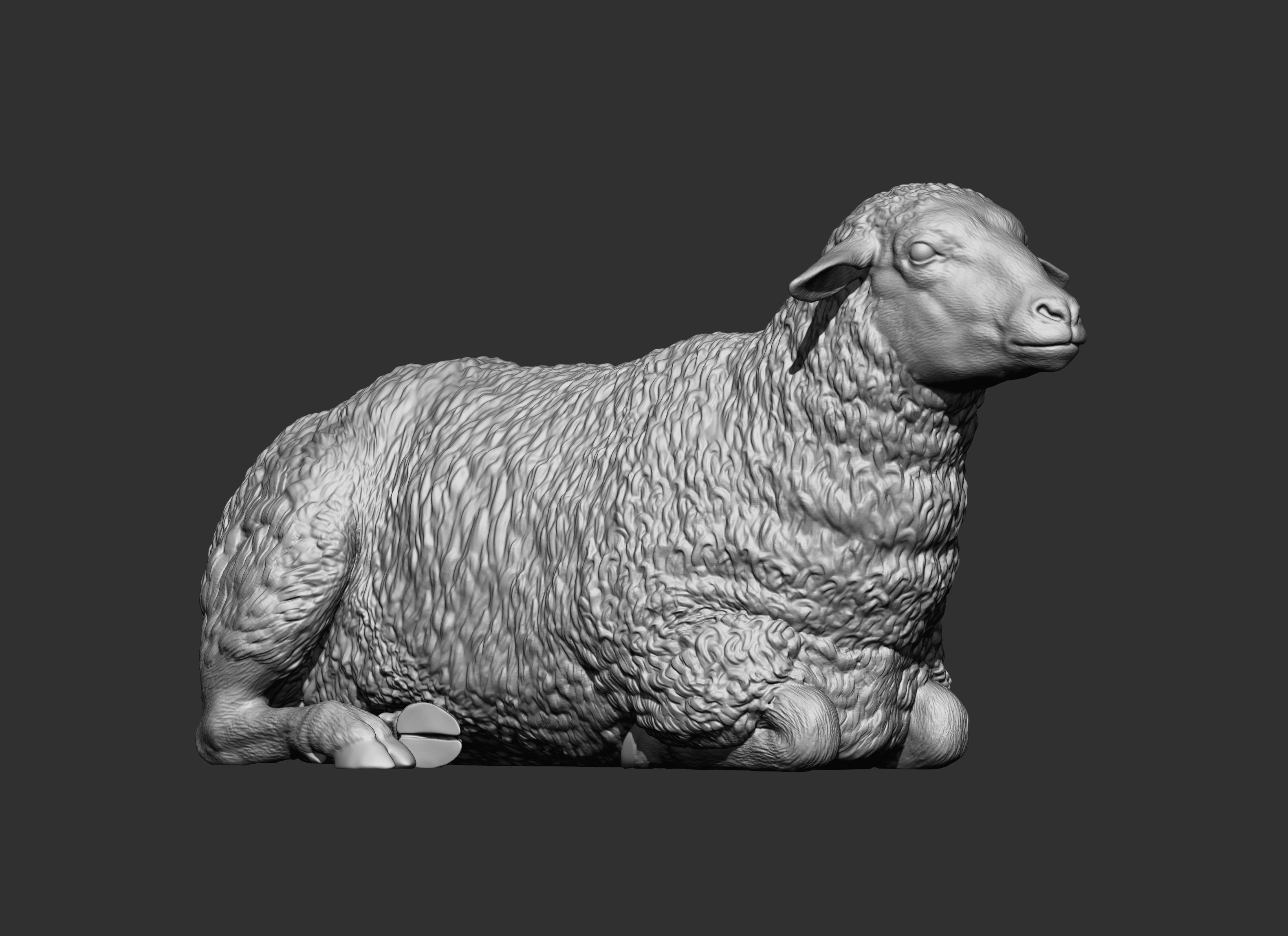 Sheep lies 3D print model_7