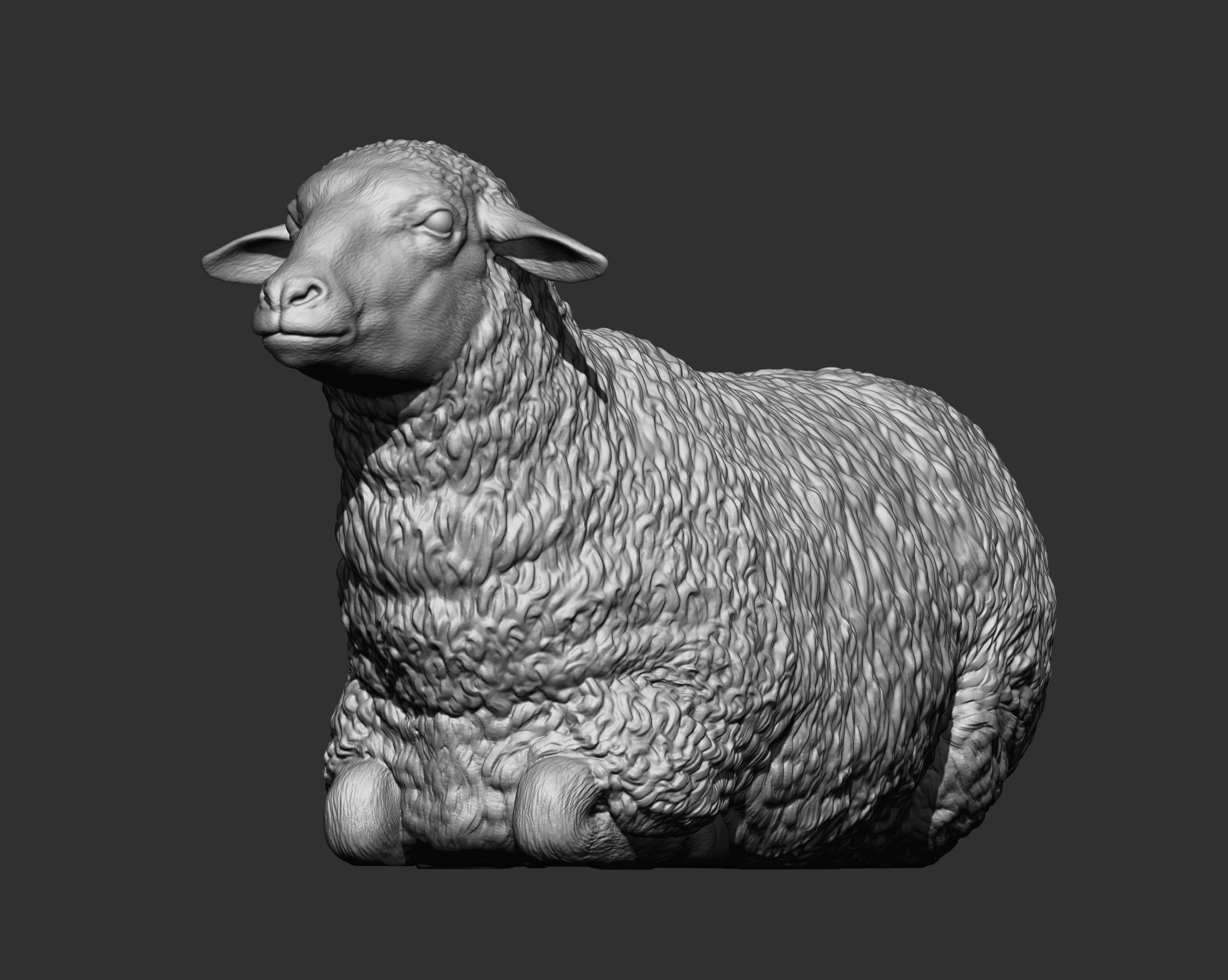 Sheep lies 3D print model_6