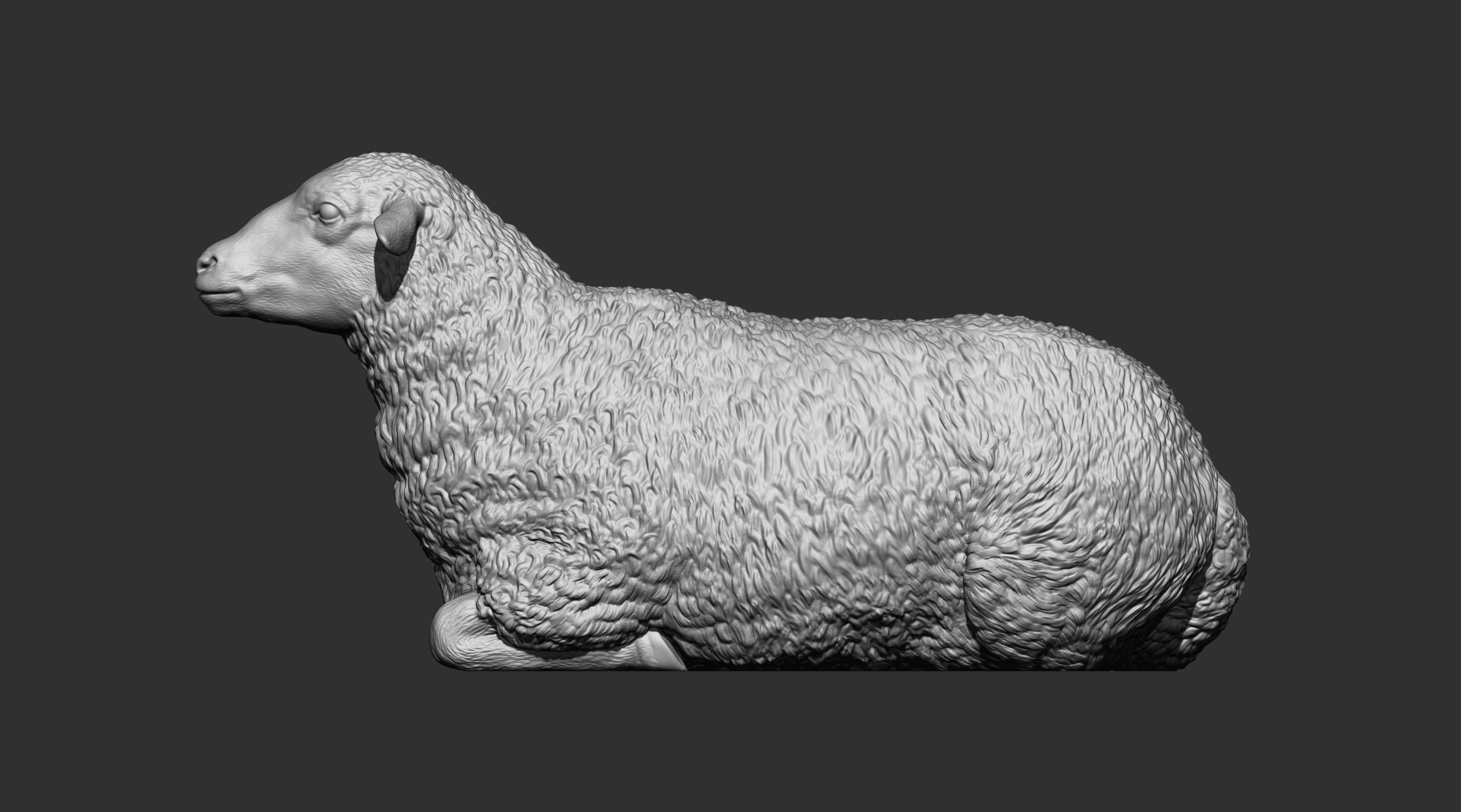 Sheep lies 3D print model_10