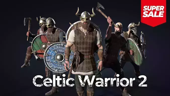 Vikings set Celtic Warrior 2 Low-poly 3D model