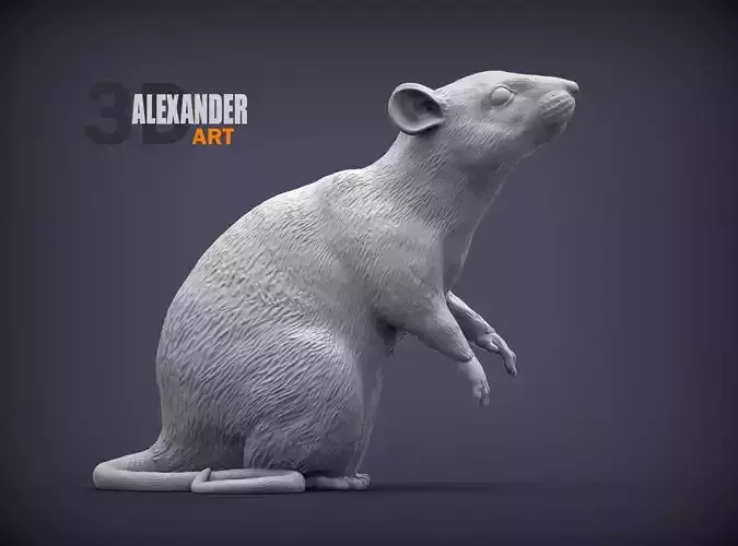 Rat on hind legs 3D print model