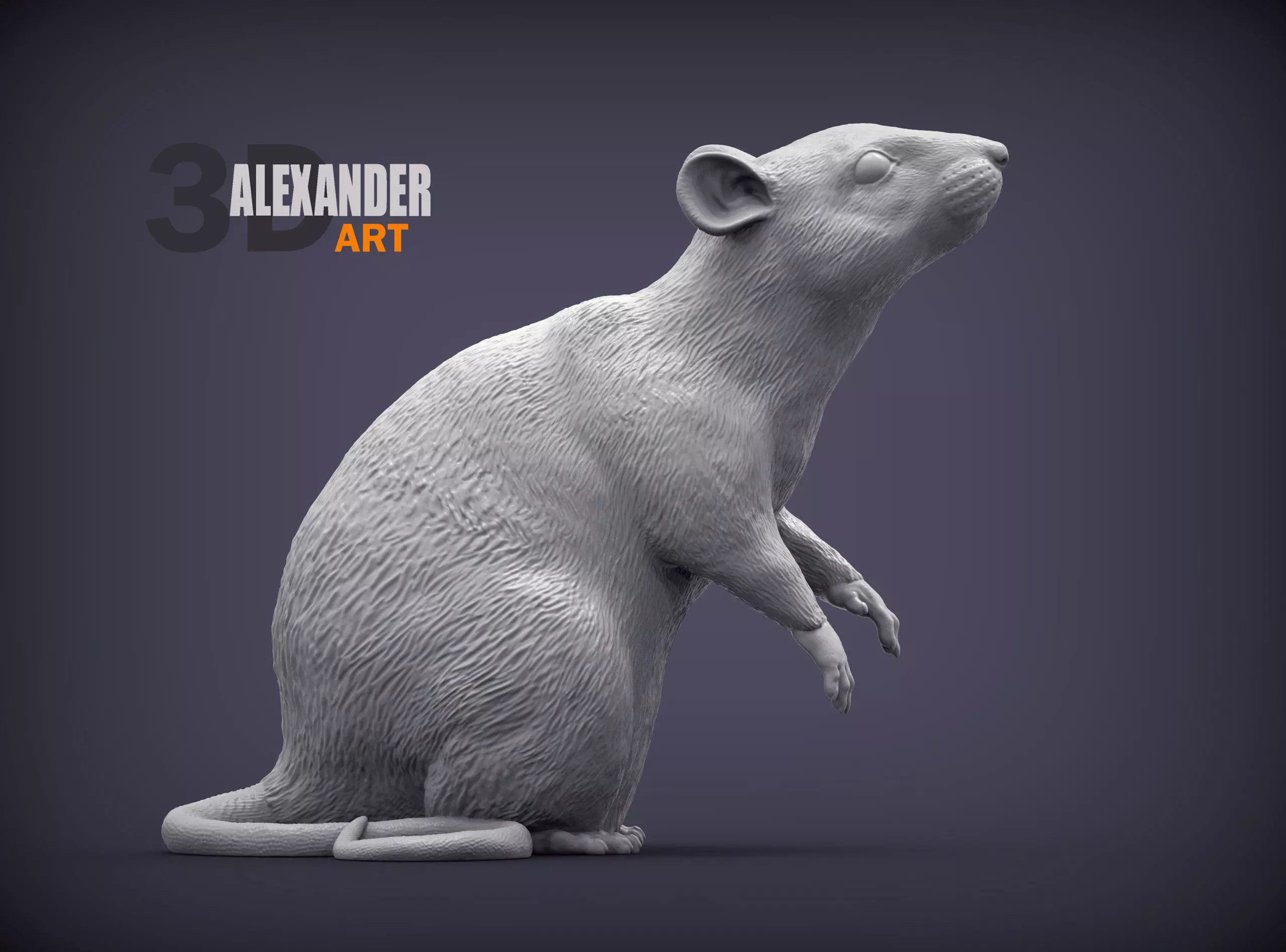 Rat on hind legs 3D print model_0