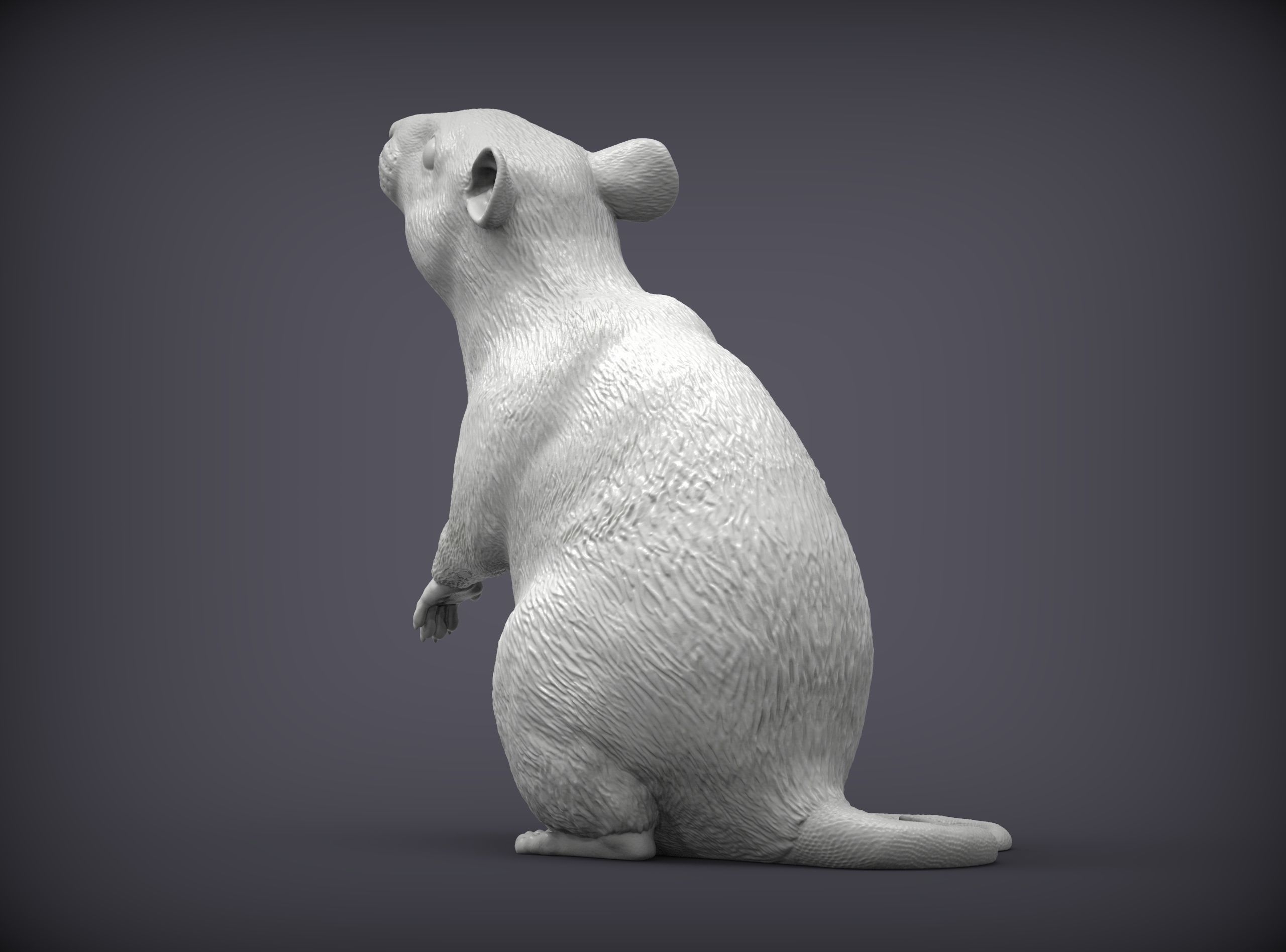 Rat on hind legs 3D print model_1