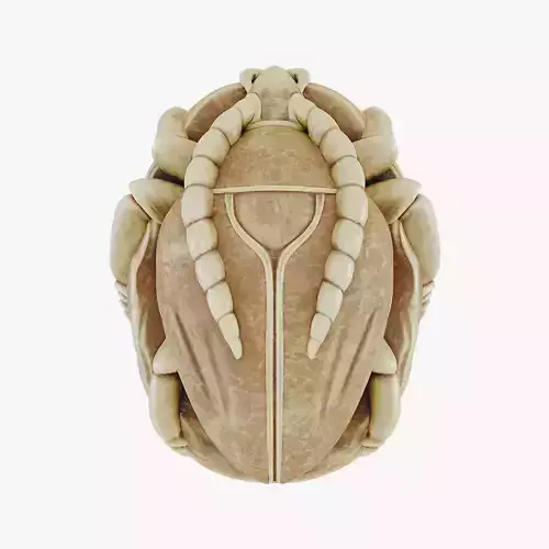 Stylized scarab on a stone 3D model