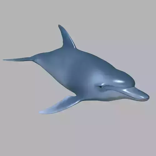 Dolphin -