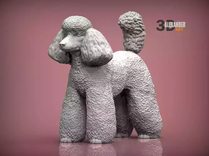 Toy poodle 3D print model