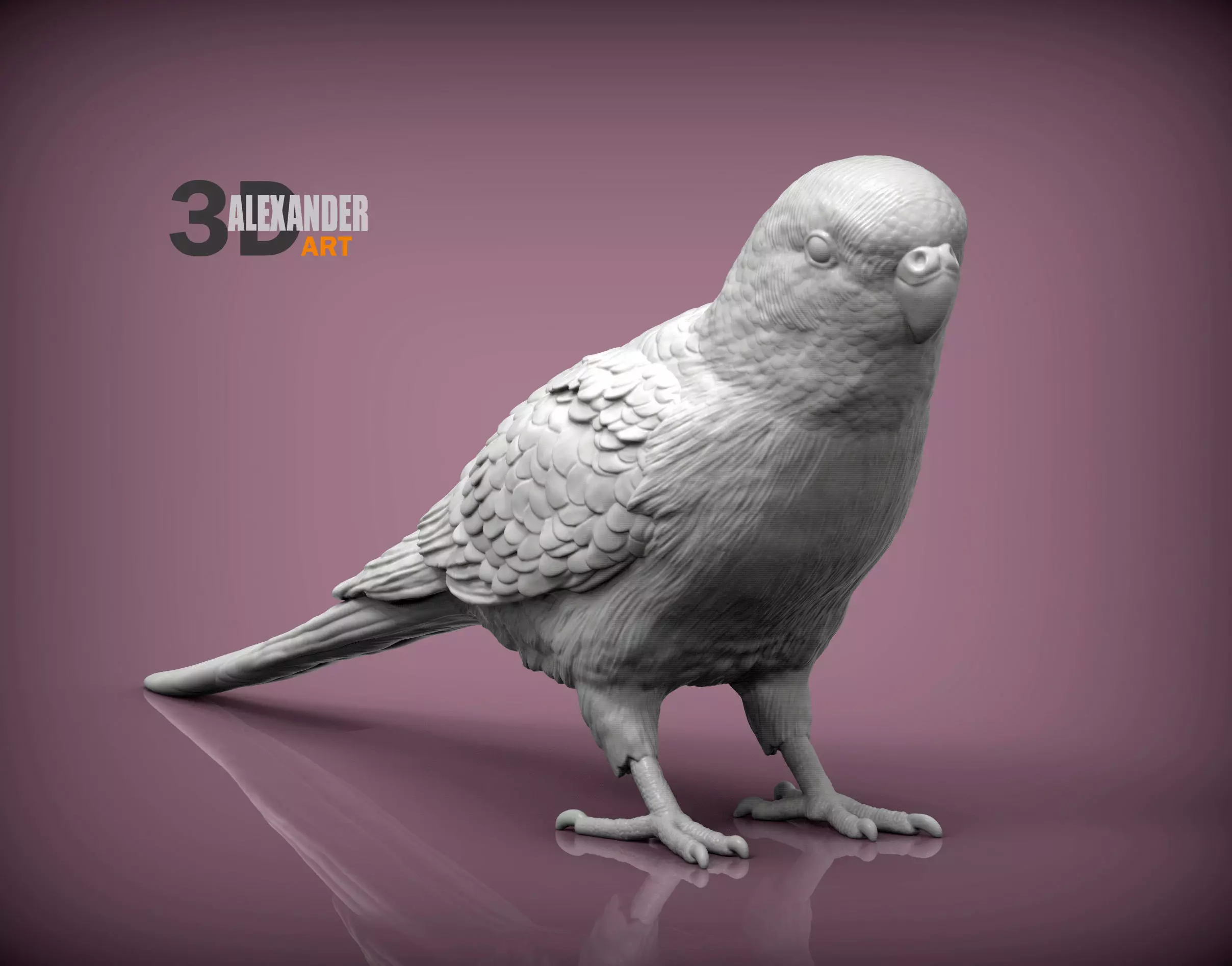 Budgerigar 3D print model_0