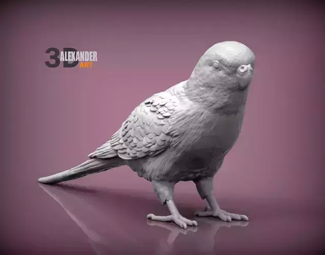 Budgerigar 3D print model
