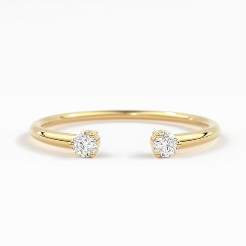 Two Stone Round Open Diamond Minimalist Round Zircon Band 3D 3D print model