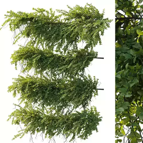 plants hanging ivy- outdoor garden set 168 Low-poly 3D model