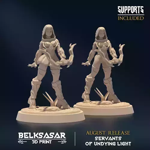 Undying Light Sentinel E Nude and Normal 3D print model