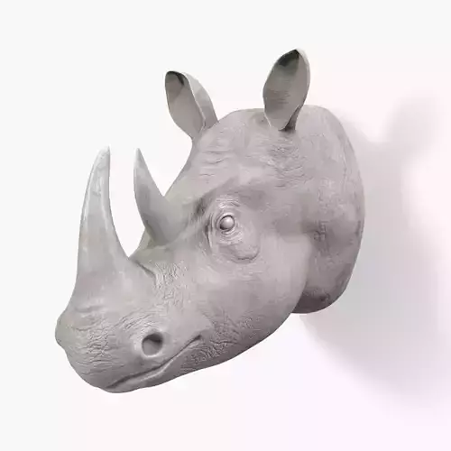 Rhinoceros wall decor