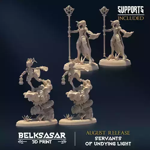 Undying Light Windmage Nude and Normal Set x2