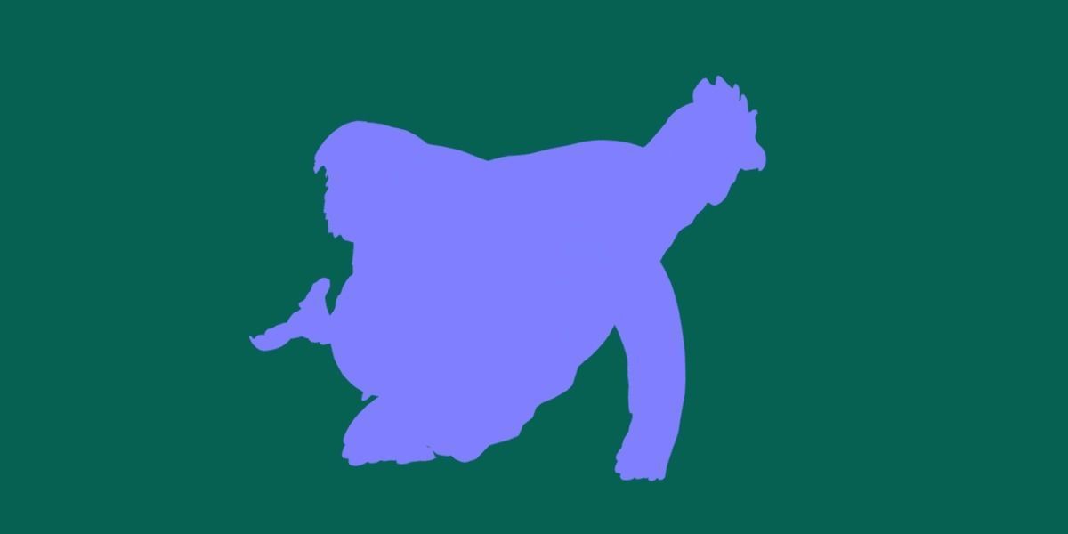 Marans Black Chicken 3D model_18