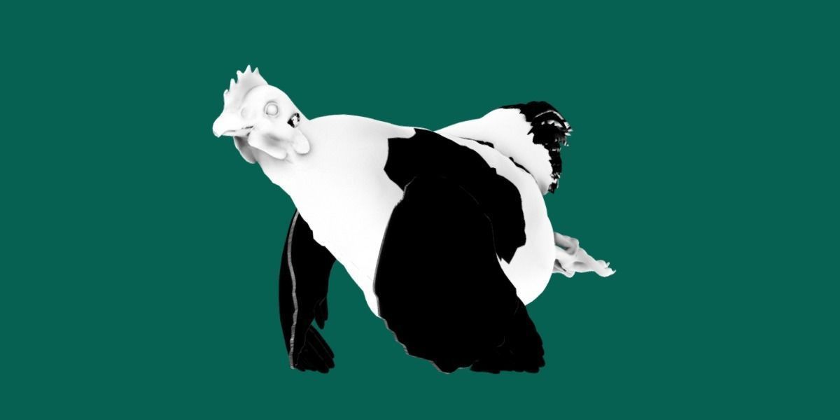 Marans Black Chicken 3D model_19