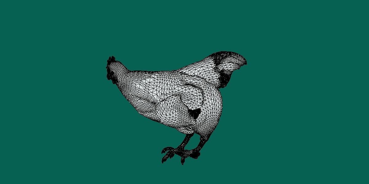 Marans Black Chicken 3D model_5