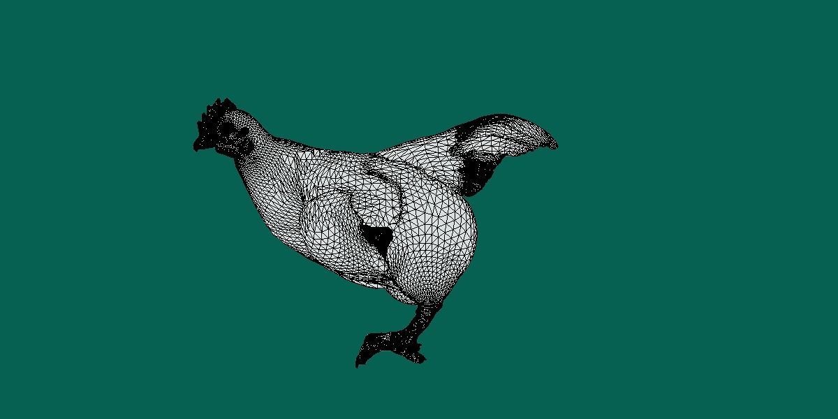 Marans Black Chicken 3D model_6