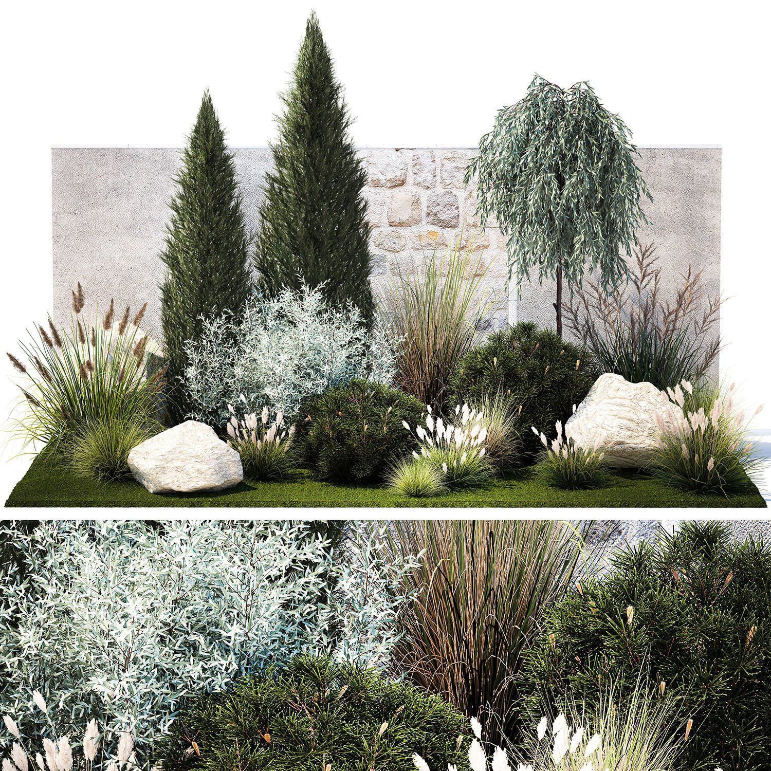 Garden trees thuja pine bushes olive feather grass grass 1390 3D model_6