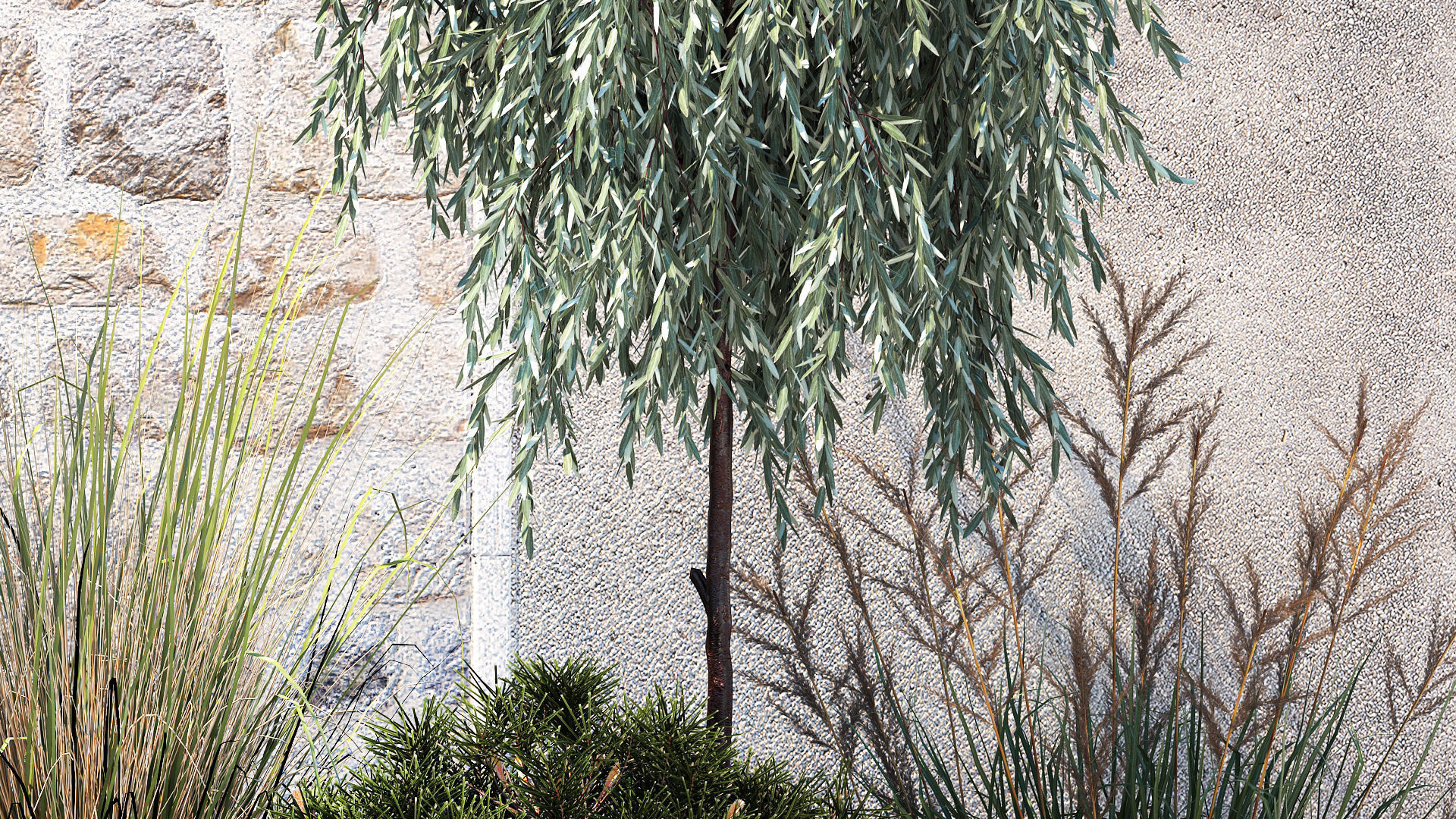 Garden trees thuja pine bushes olive feather grass grass 1390 3D model_3