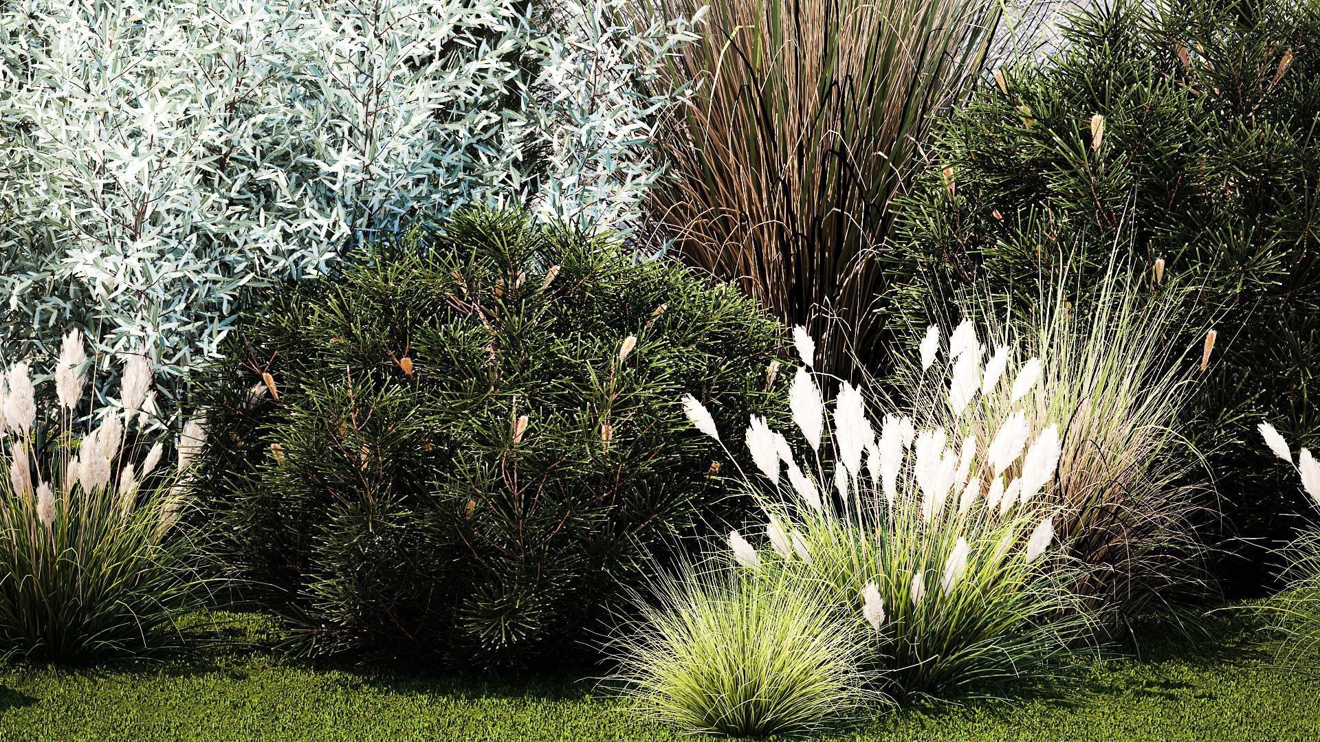 Garden trees thuja pine bushes olive feather grass grass 1390 3D model_4