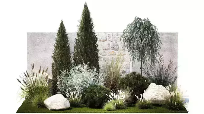 Garden trees thuja pine bushes olive feather grass grass 1390