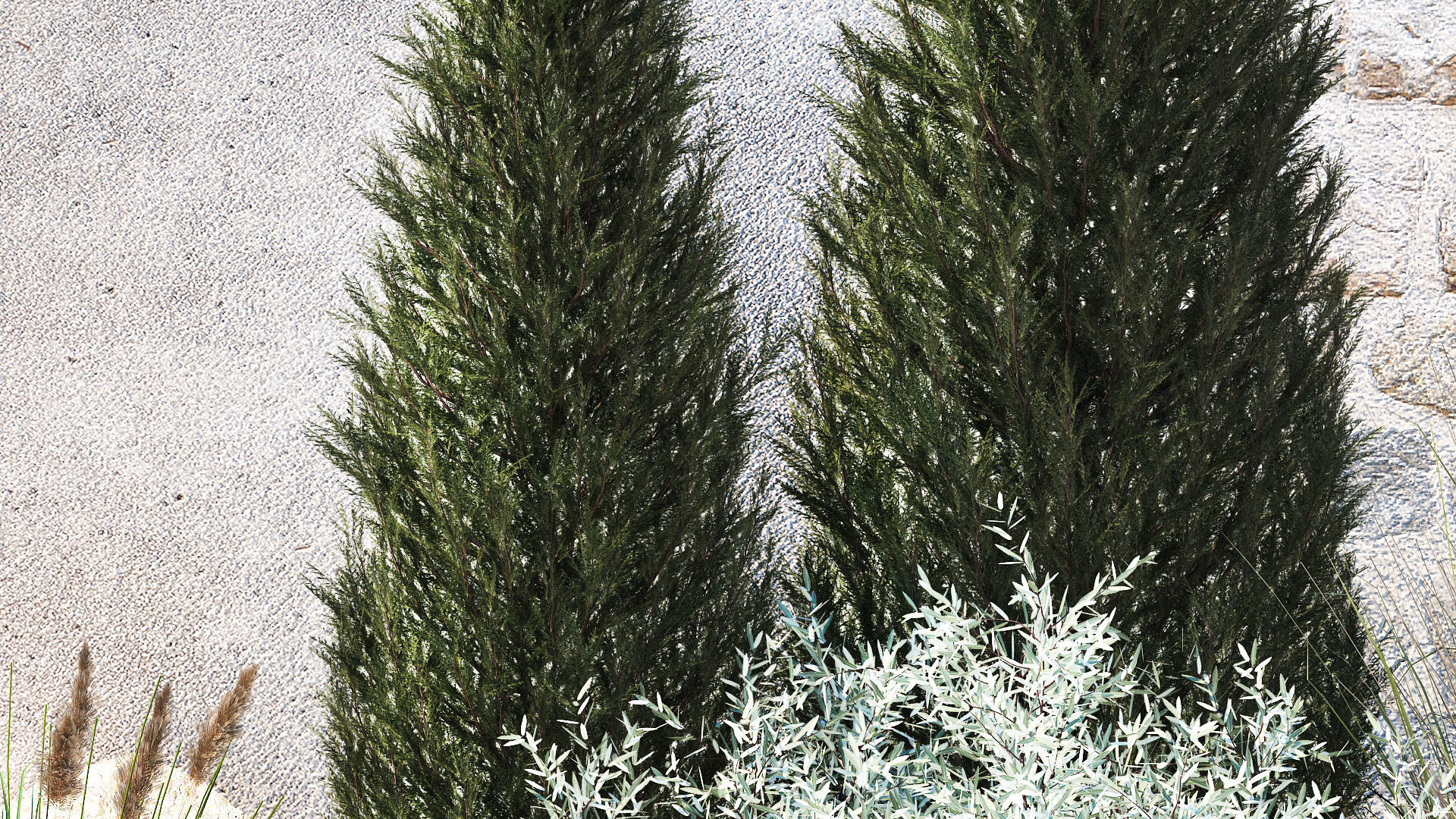 Garden trees thuja pine bushes olive feather grass grass 1390 3D model_5