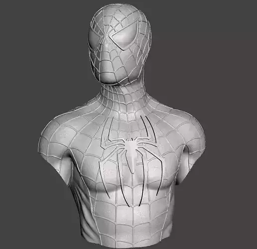 Punisher 3d model for 3d printing 3D print model