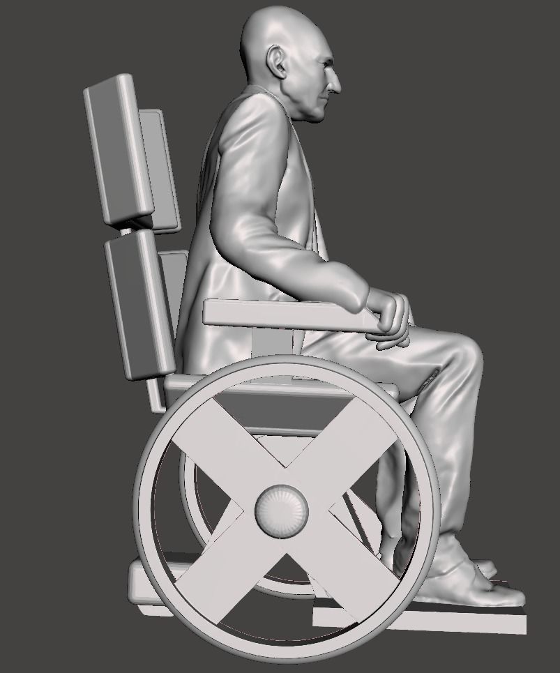 xavier charles 3d model for 3d printing 3D print model_3