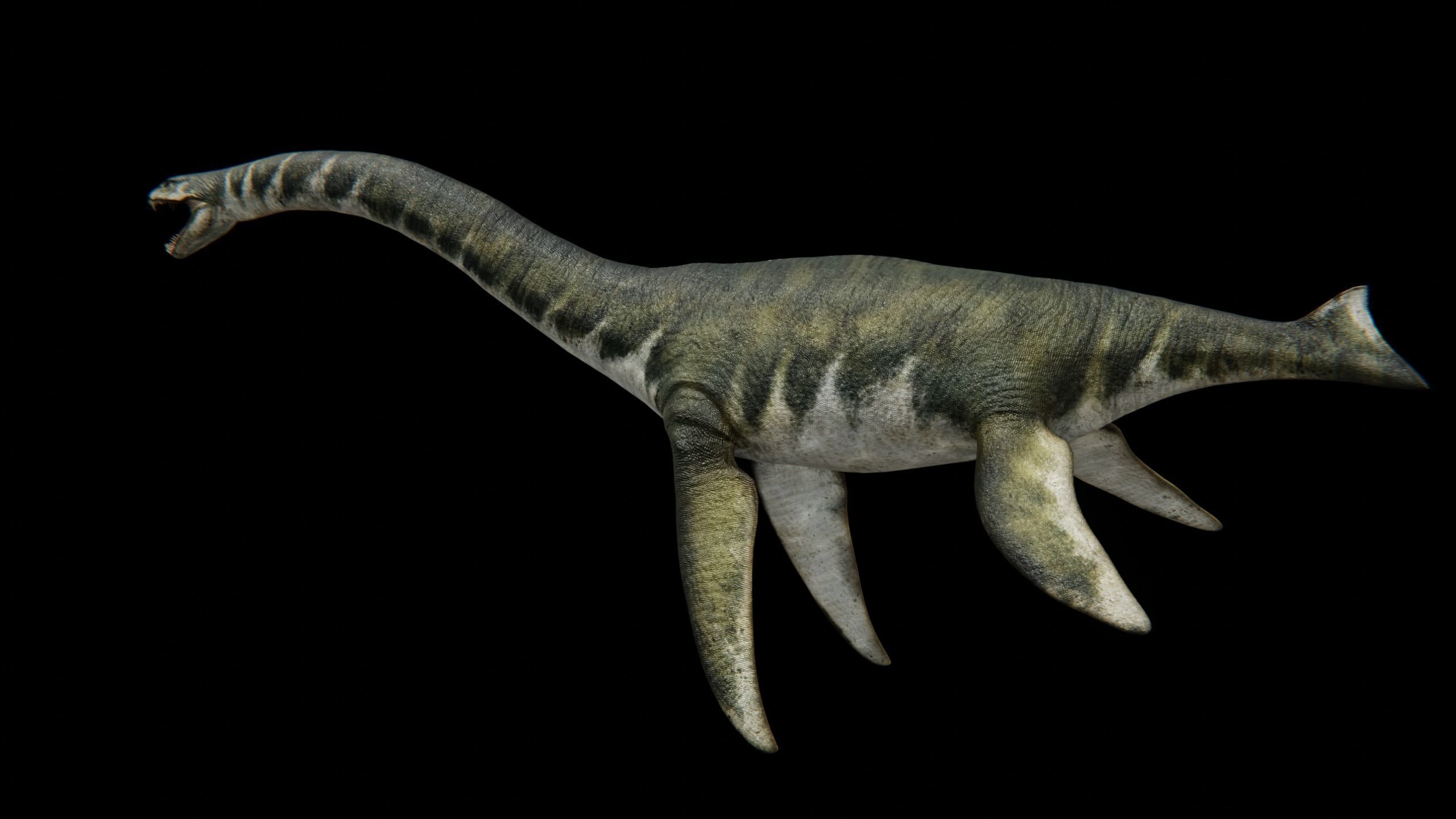 Zarafasaura - Plesiosaurs Elasmosaurs Low-poly 3D model_20