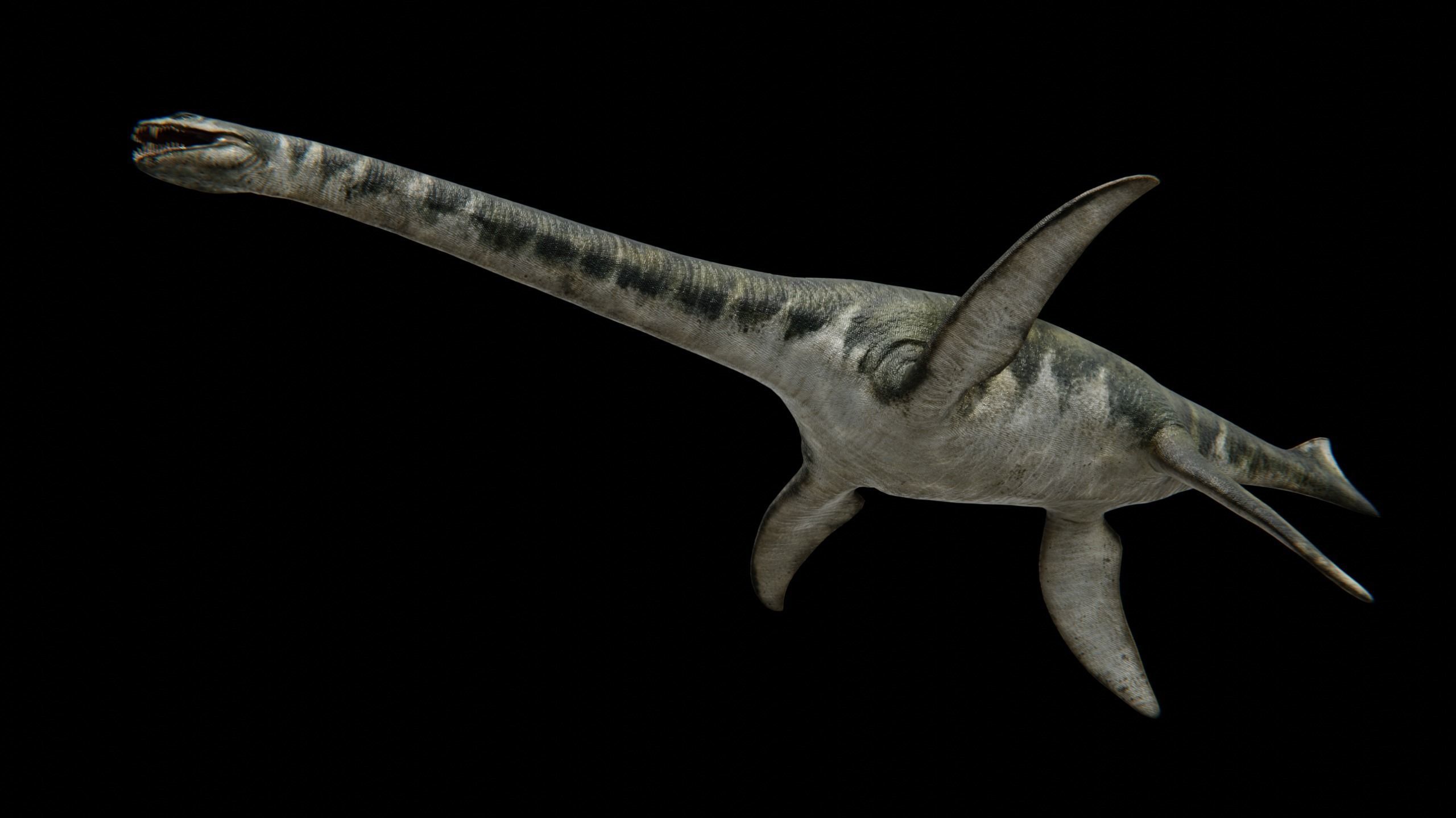 Zarafasaura - Plesiosaurs Elasmosaurs Low-poly 3D model_19