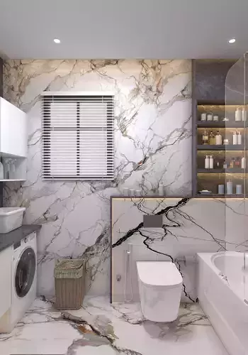 private and guest bathroom