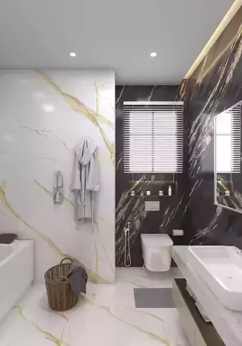 bathroom for master bedroom