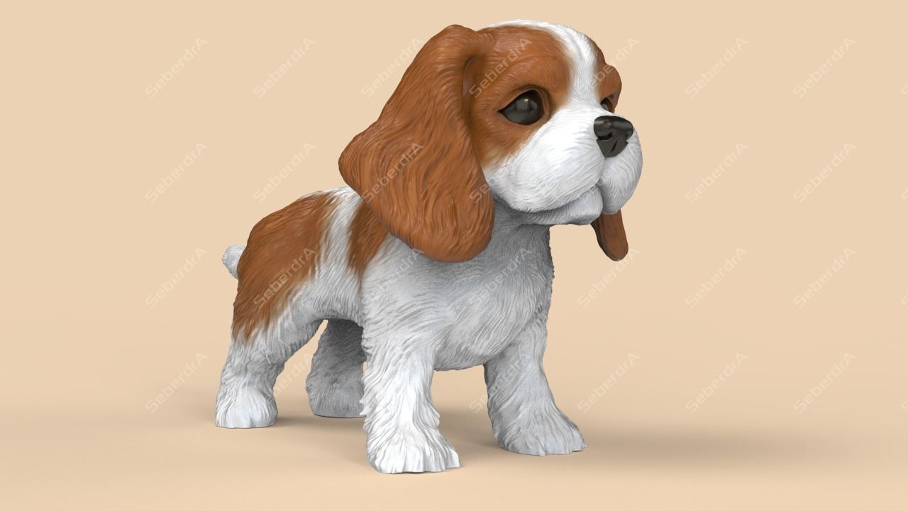 Cute Cavalier King Charles Spaniel STL and VRML 3D print model_1