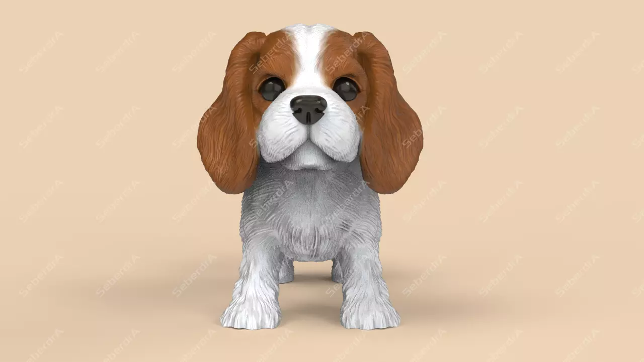 Cute Cavalier King Charles Spaniel STL and VRML 3D print model_0