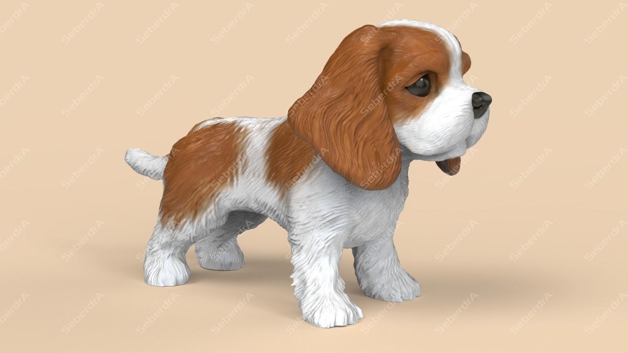 Cute Cavalier King Charles Spaniel STL and VRML 3D print model_2