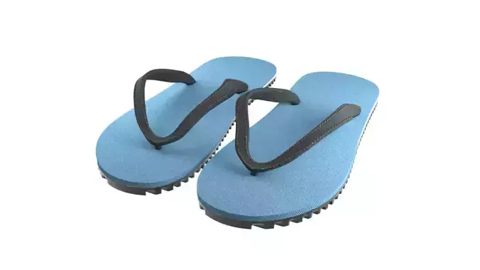 Flip Flop