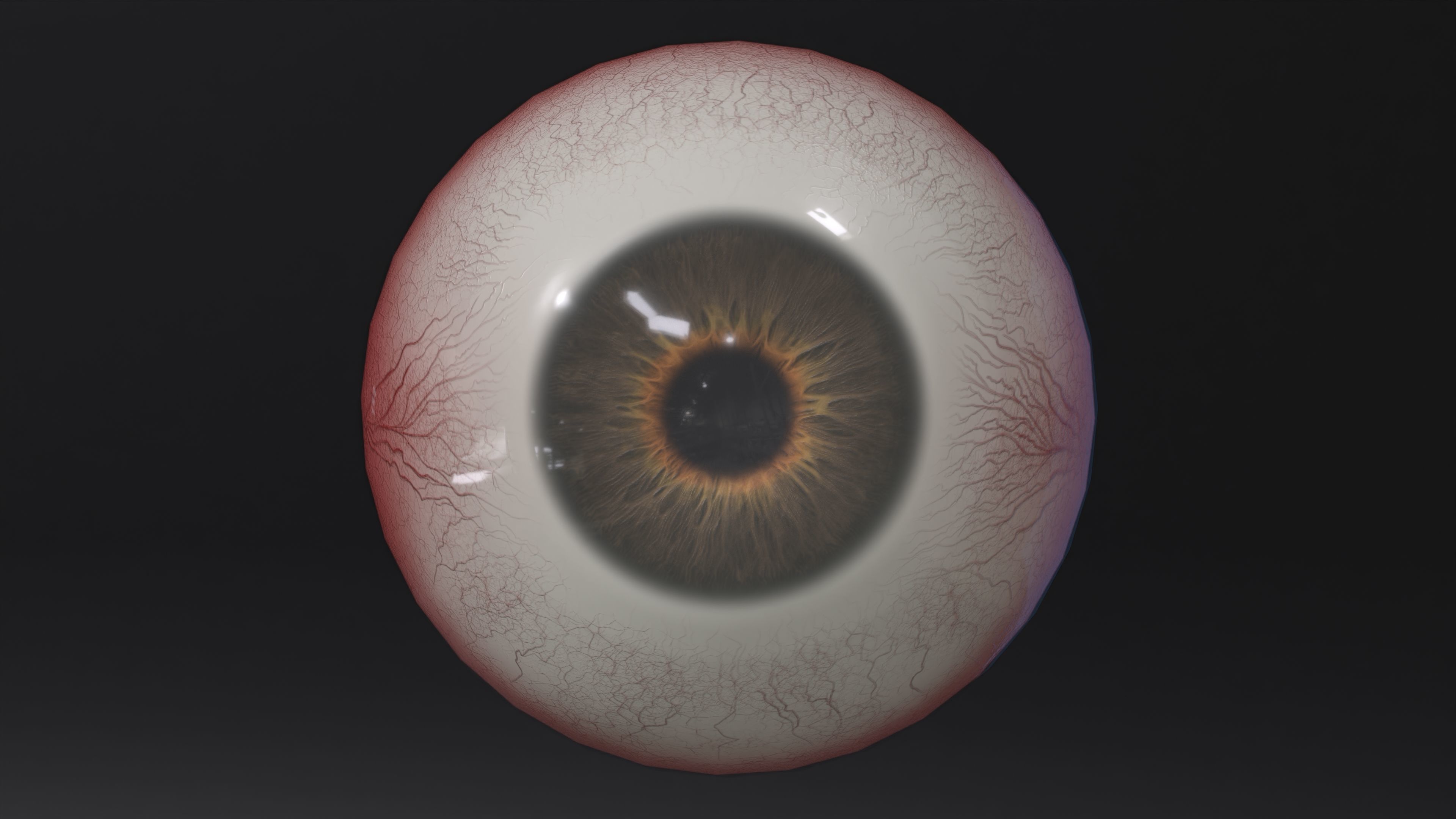 Human Eye Low-poly 3D model_3
