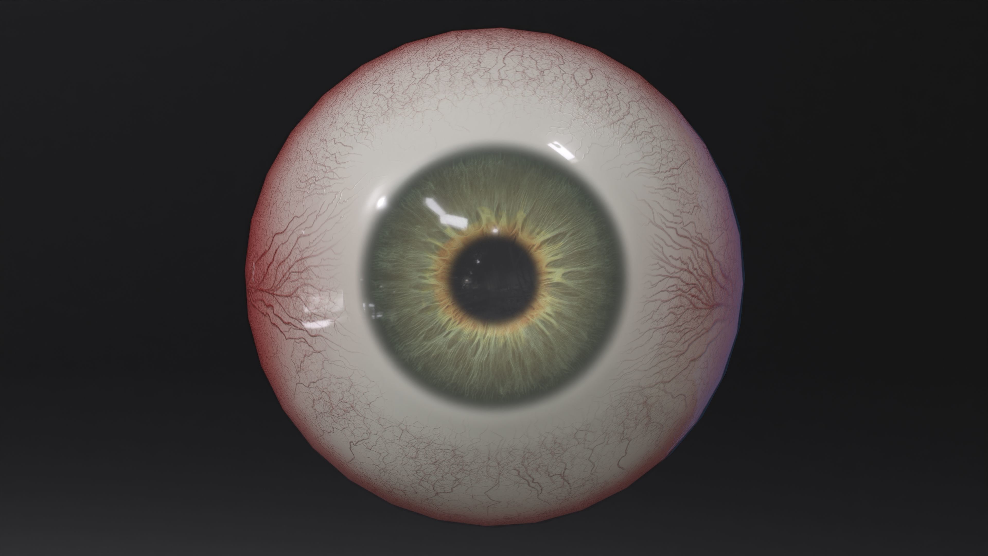 Human Eye Low-poly 3D model_4