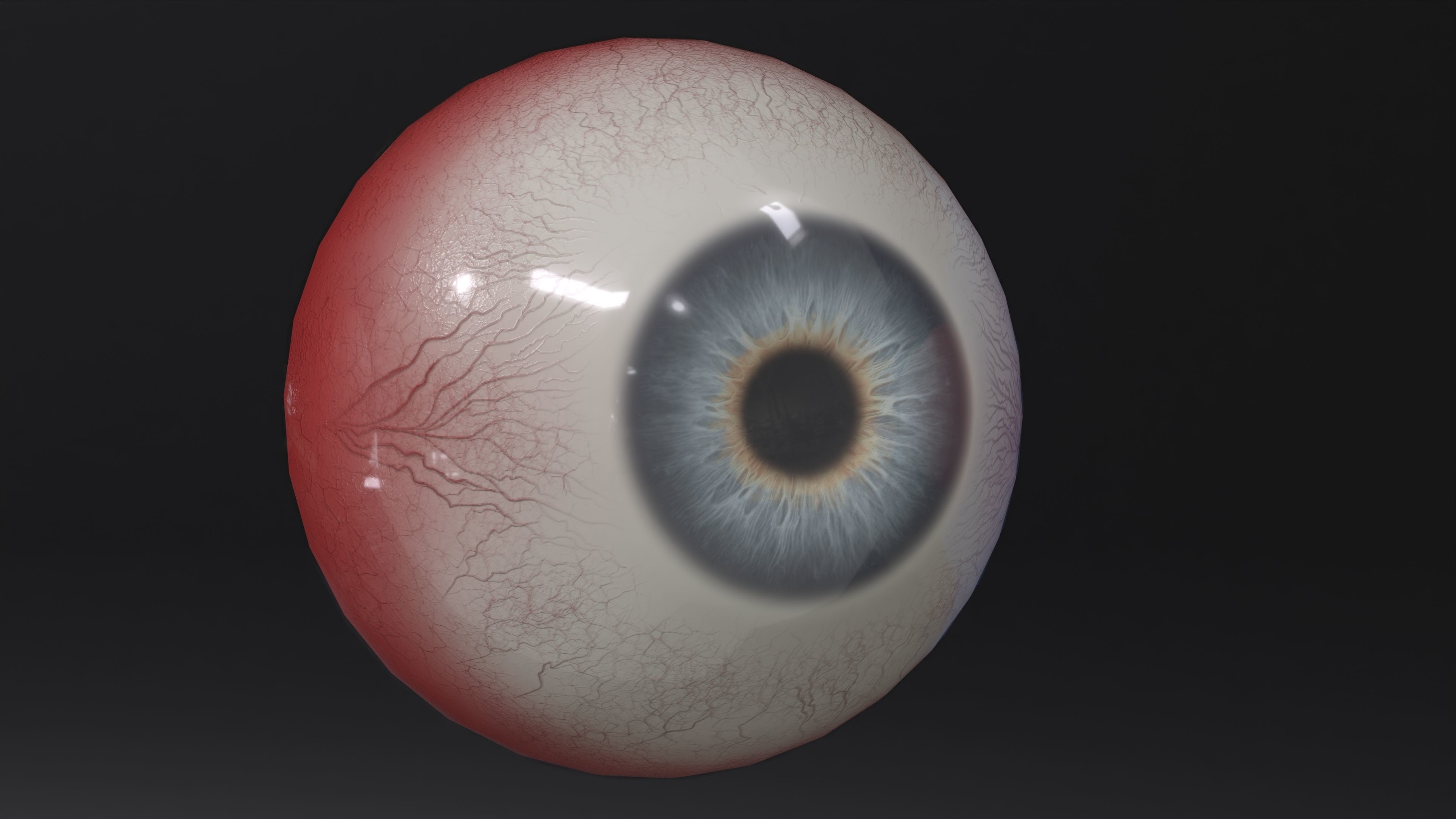 Human Eye Low-poly 3D model_5