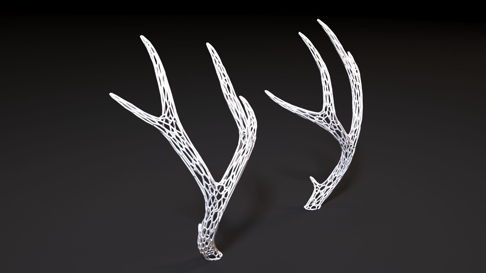 Deer horns 3D print model_6