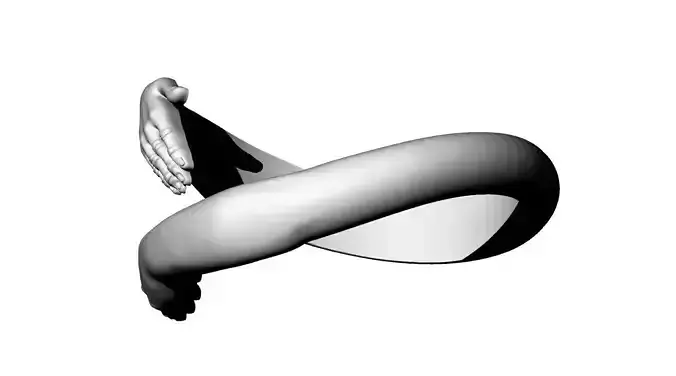 Hug ring anillo abrazo