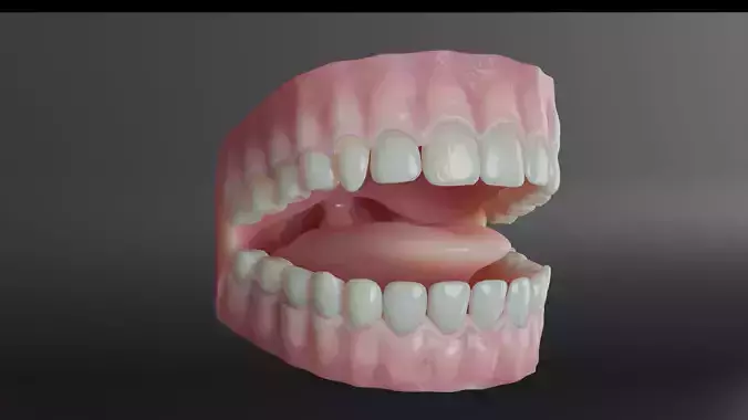 Human Teeth 3D model