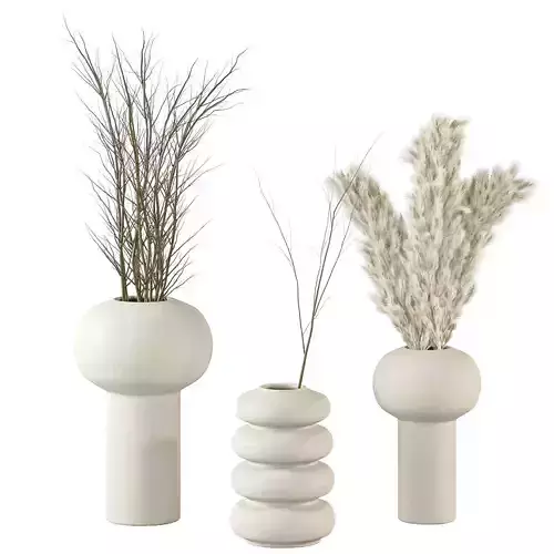 Dry plant set  3D model