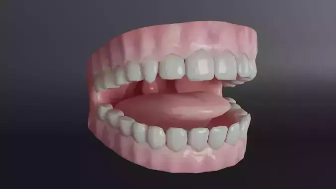 Human Teeth