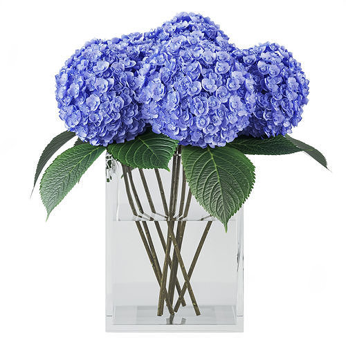 hydrangea 01 3D model