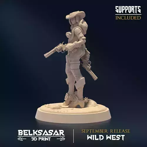 Gunslinger A 3D print model