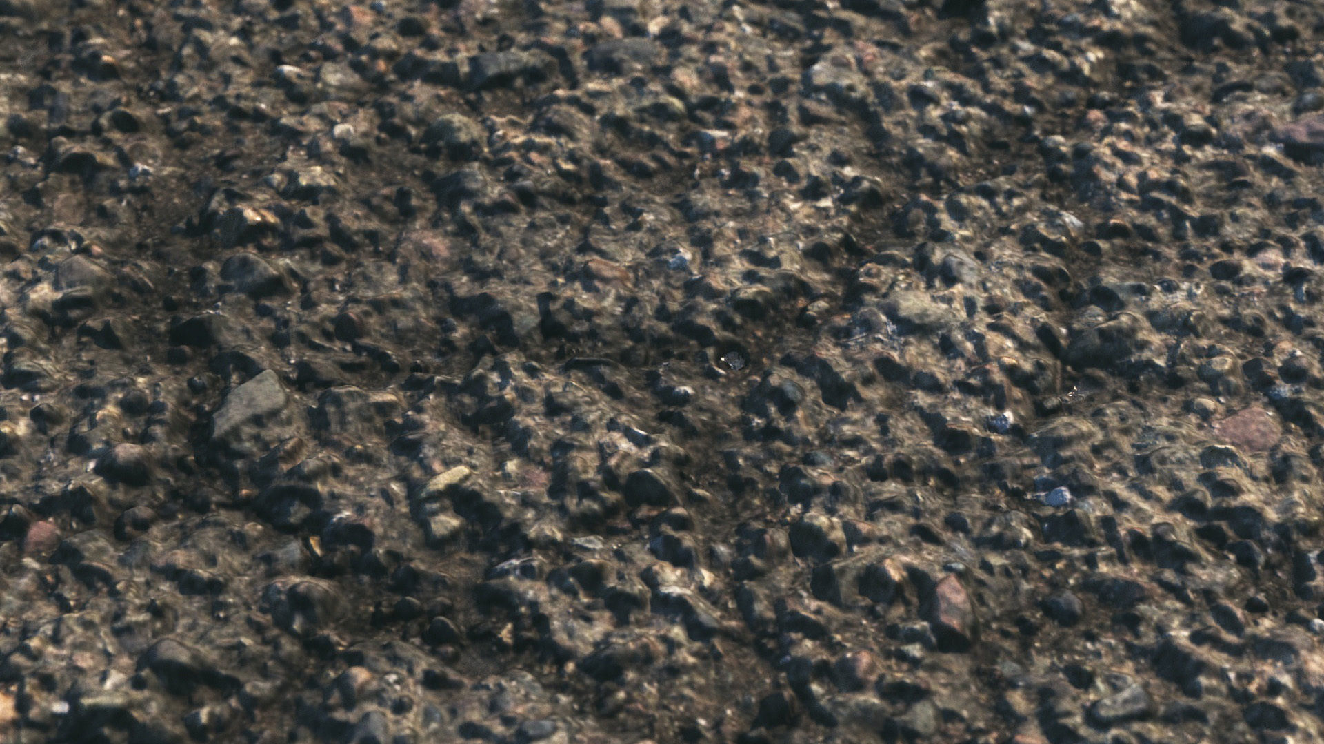 Old wet asphalt material 08 3D model_10