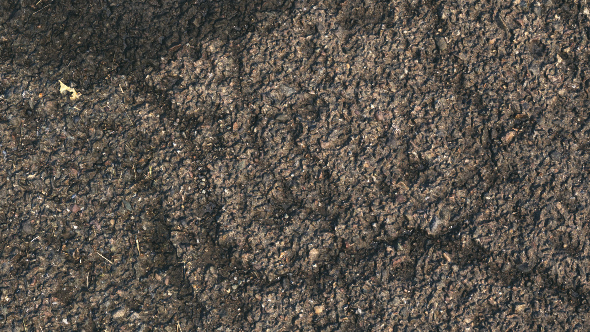 Old wet asphalt material 08 3D model_3