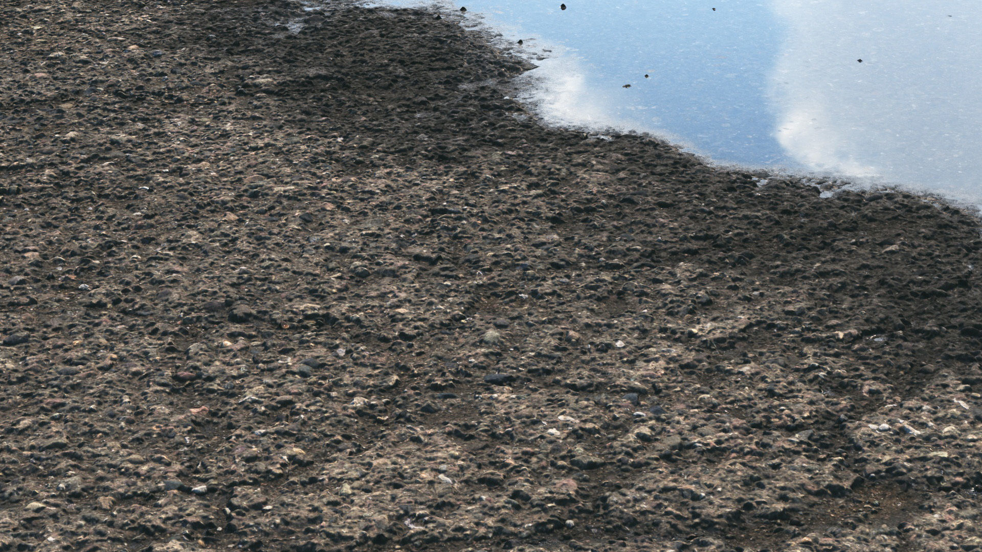 Old wet asphalt material 08 3D model_5